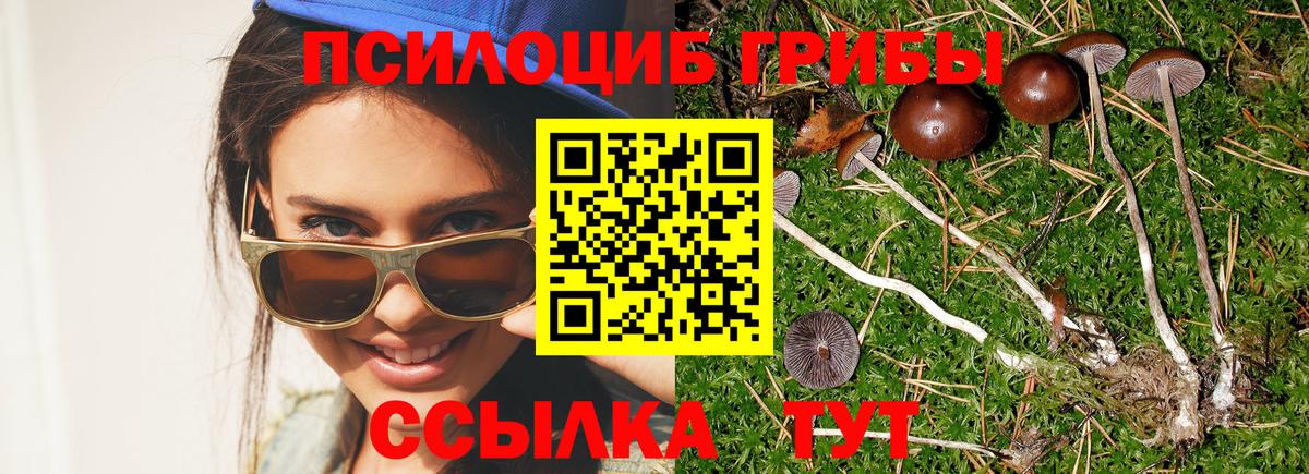 Москва  Галлюциногенные грибы мухоморы  Псилоцибиновые грибы мицелий  Вход с VPN 