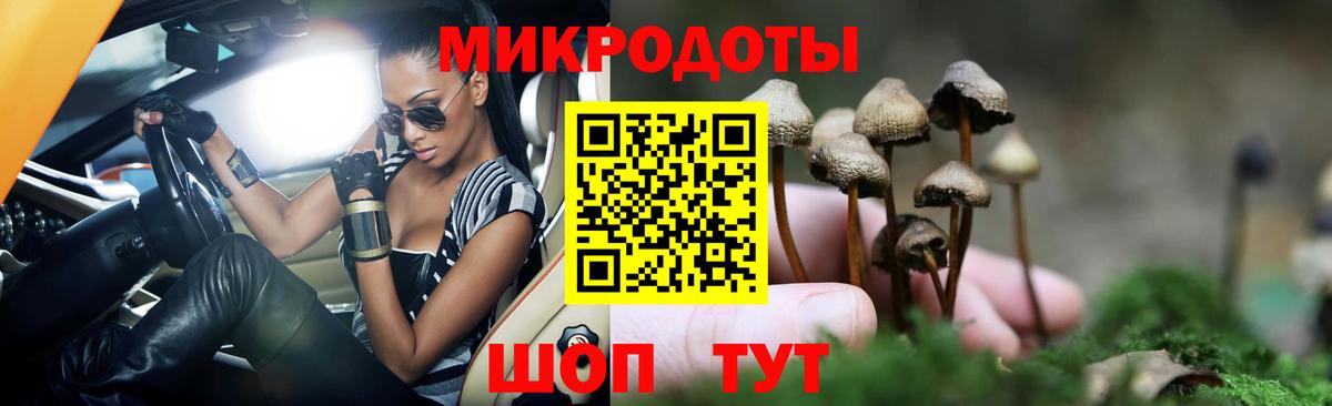 Галлюциногенные грибы мухоморы Москва